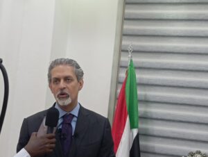 السفير المصري 