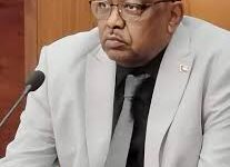 محافظ مشروع الجزيرة