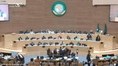 الاتحاد الافريقي