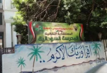 مدرسة الصداقه السودانيه