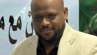 رحمة عبدالمنعم يكتب: