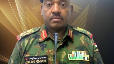 الناطق الرسمي باسم الجيش