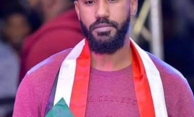 الفنان احمد الصادق