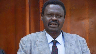 مني اركو مناوي