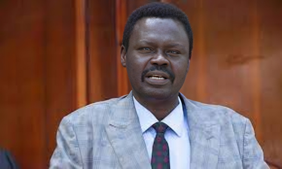 مني اركو مناوي