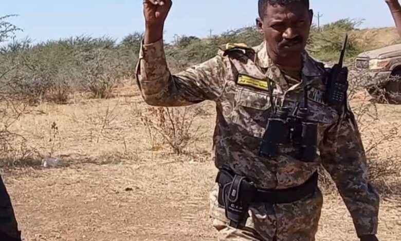 كيكل ـــــ قوات درع السودان