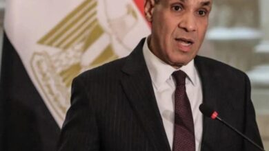 وزير الخارجية المصري