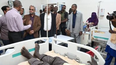 مستشفى النو