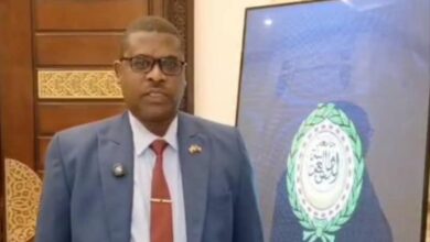 رئيس هيئة وادي النيل