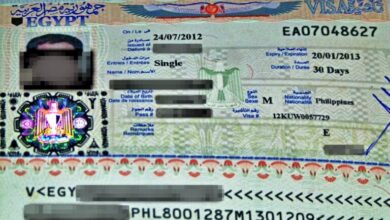 تاشيرة مصرية