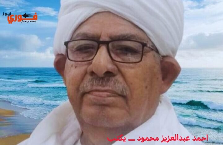 احمد عبدالعزيز يكتب: