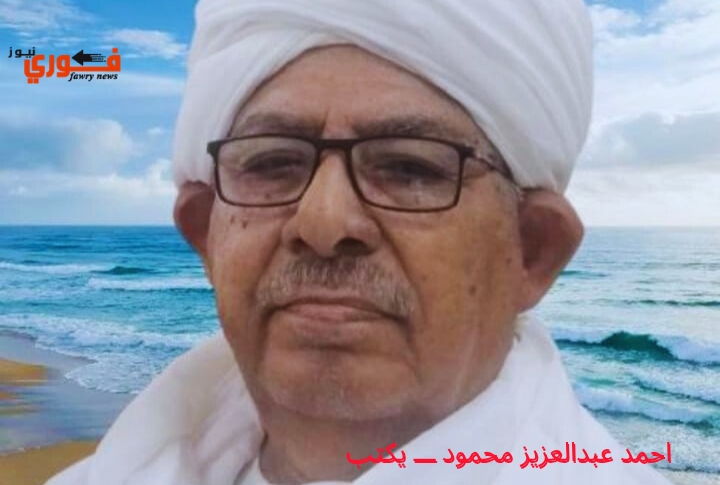 احمد عبدالعزيز يكتب:
