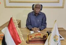 والي شمال دارفور