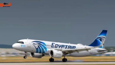 الطيران المصري