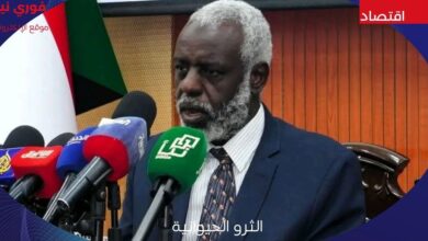 وكيل الثروة الحيوانية